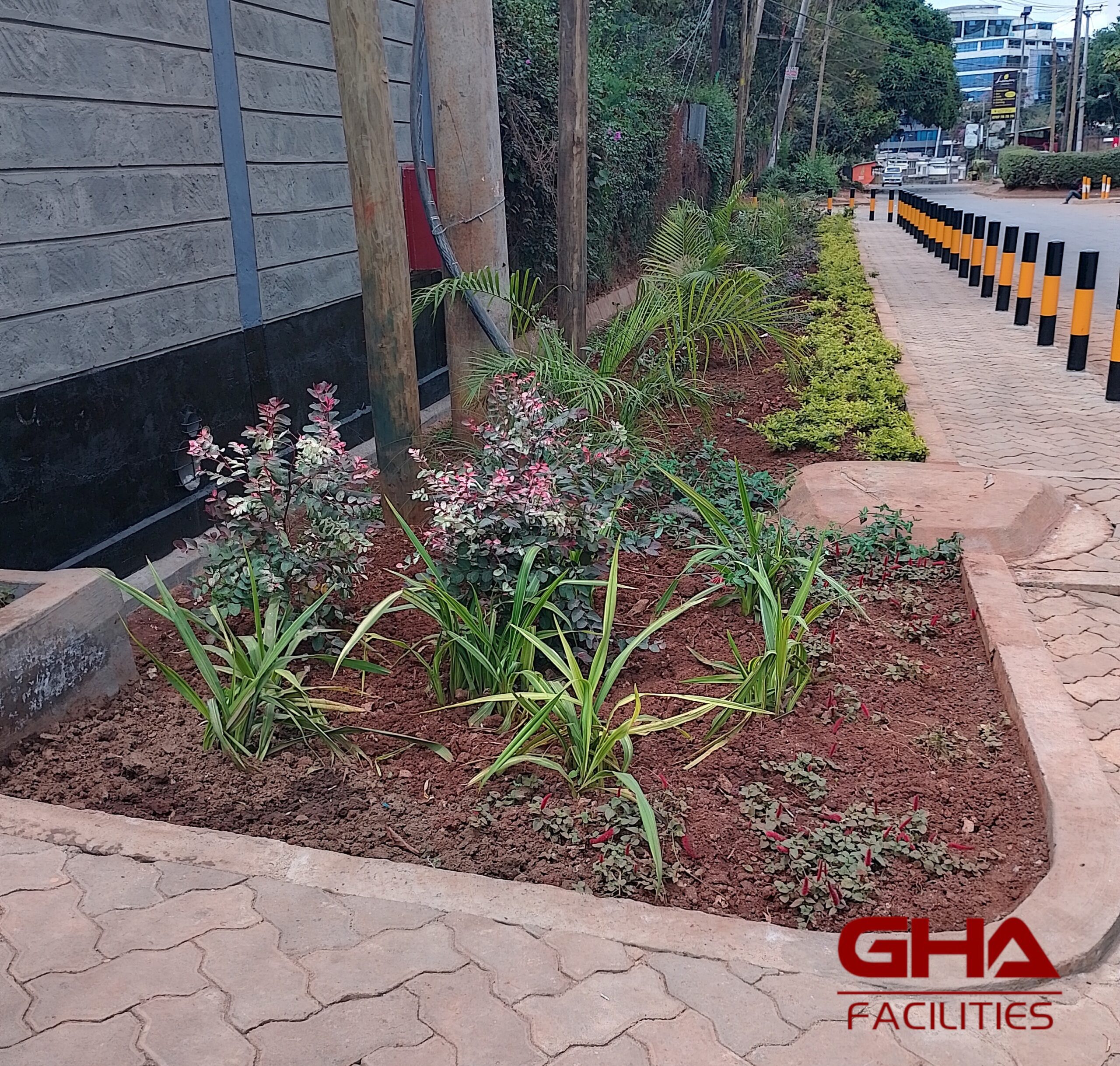 IMG_20230806_123829_HDR~2