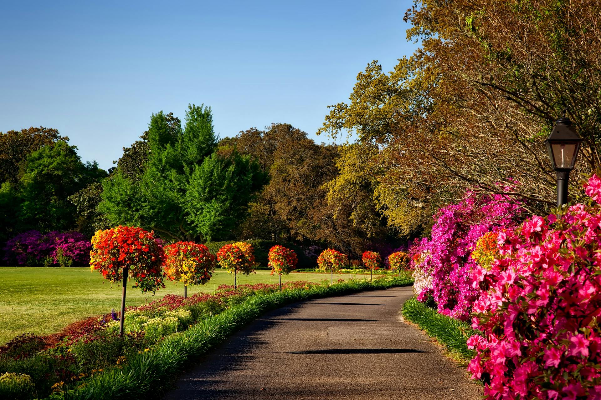 Comprehensive Landscaping and Gardening Solutions